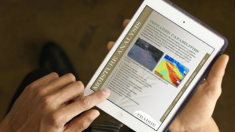 Print & Interactive